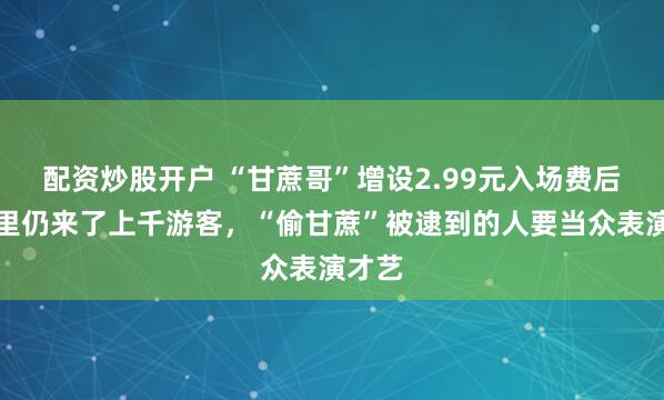 配资炒股开户 “甘蔗哥”增设2.99元入场费后，地里仍来了上千游客，“偷甘蔗”被逮到的人要当众表演才艺